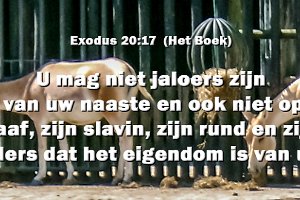 Exod2017-Boek